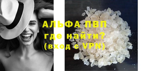 сатива Балахна