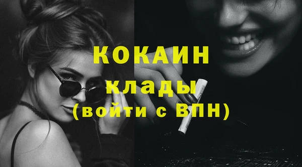 сатива Балахна
