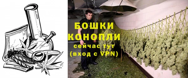 сатива Балахна