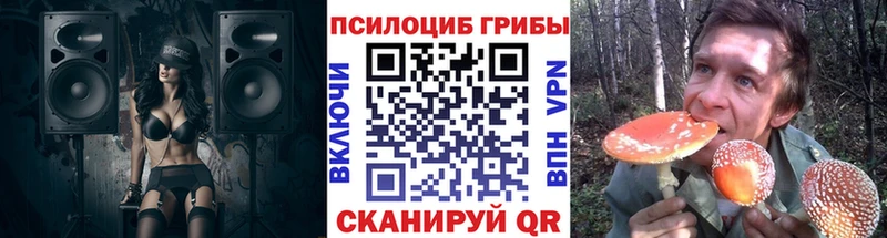 кракен ТОР  Нязепетровск  Псилоцибиновые грибы мухоморы 